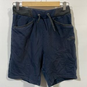 The north face flash dry athletic fleece shorts